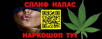 крисы Лесосибирск