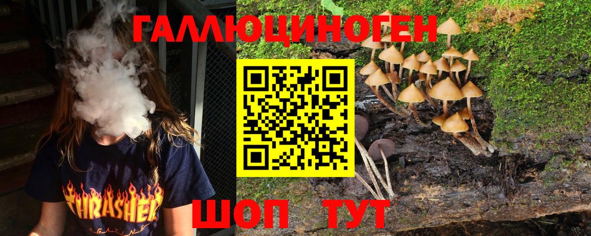 Псилоцибиновые грибы мицелий Южно-Сахалинск